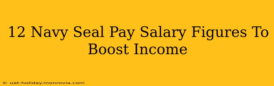 12 Navy Seal Pay Salary Figures To Boost Income