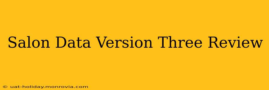 Salon Data Version Three Review