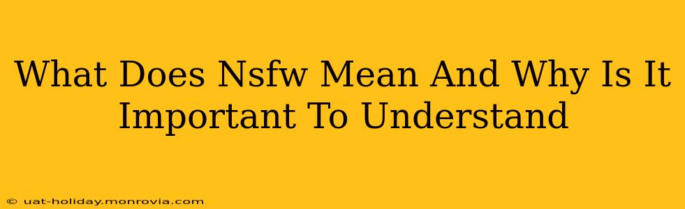 What Does Nsfw Mean And Why Is It Important To Understand