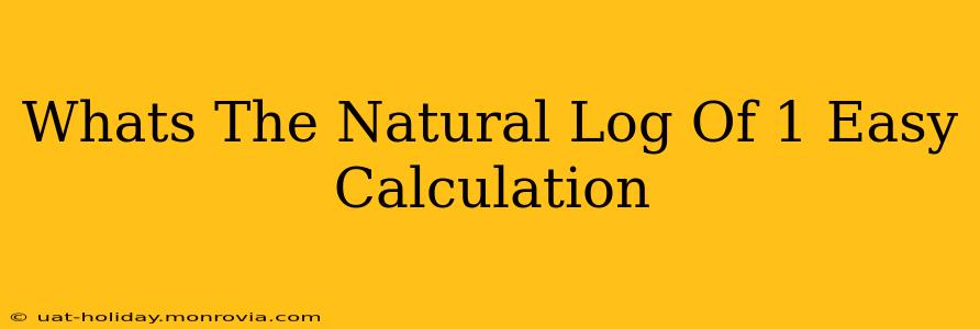 Whats The Natural Log Of 1 Easy Calculation